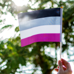Asexual flag