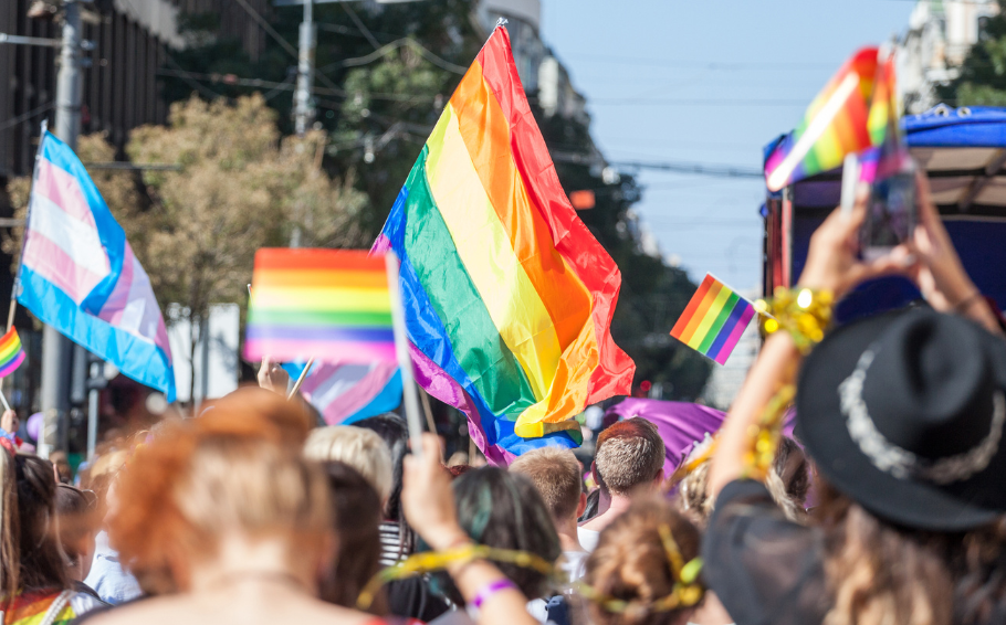Pride and trans flags are being carried by those in a crowd with the image shot from behind.