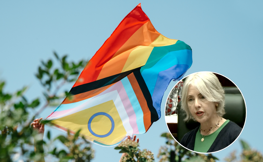 A Progress Pride flag with a blue circle is being held up against a clear blue sky with greenery in the foreground. In the bottom right corner, an image of a woman with short grey hair wearing a green shirt and black blazer is inset.