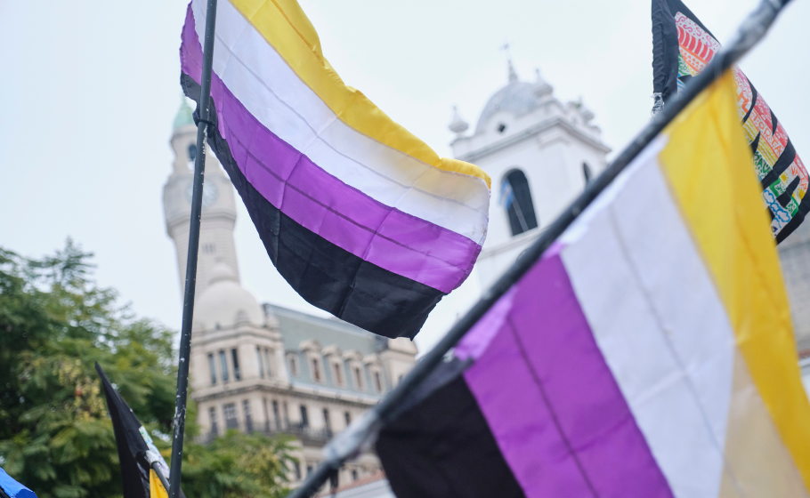 Two non-binary pride flags, featuring stripes of yellow, white, purple, and black, are being held aloft in front of a building with a dome and clock tower.